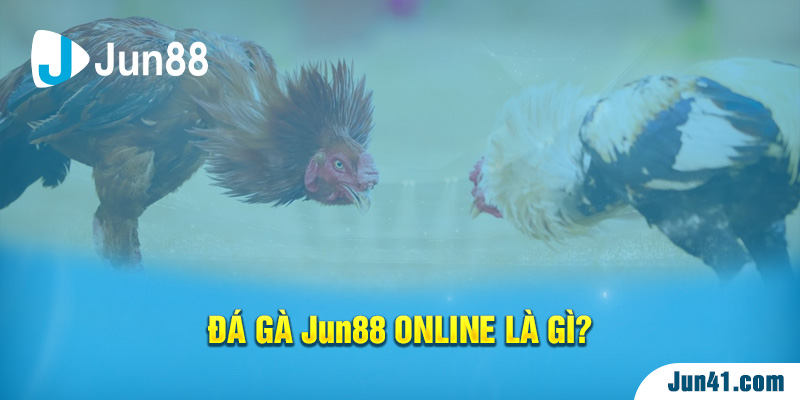 Đá gà Jun88 online là gì?