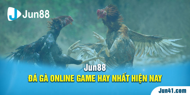 Jun88 - Đá Gà Online Game Hay Nhất Hiện Nay