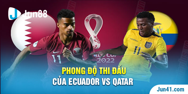 Phong độ thi đấu của Ecuador vs Qatar 