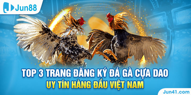 Top 3 trang đăng ký đá gà cựa dao uy tín hàng đầu Việt Nam