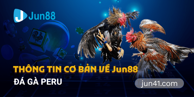 Thông tin cơ bản về Jun88 - Đá gà Peru 