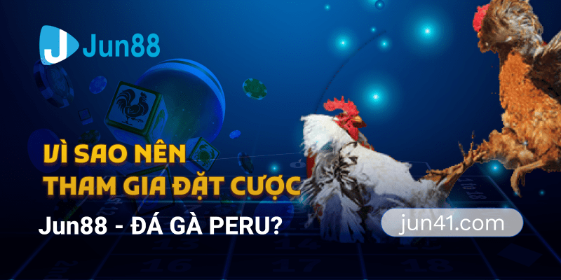 Vì sao nên tham gia đặt cược Jun88 - Đá gà Peru?