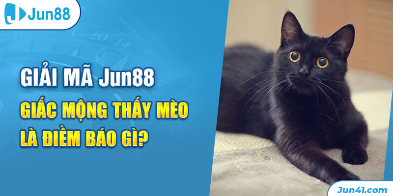Giải mã Jun88 - Giấc mộng thấy mèo là điềm báo gì?