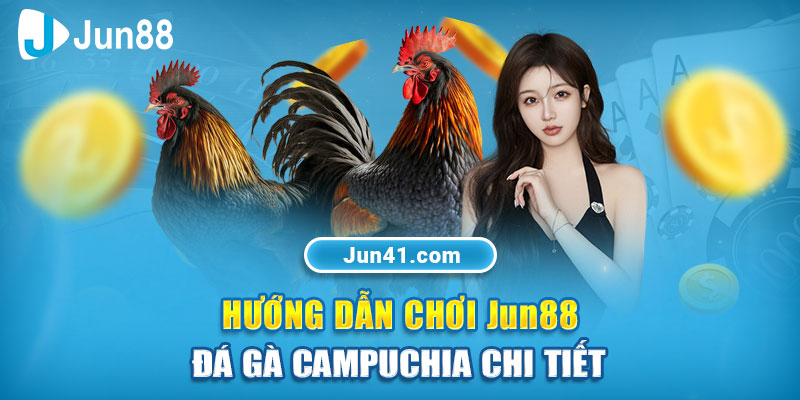 Hướng dẫn chơi Jun88 - Đá gà Campuchia chi tiết