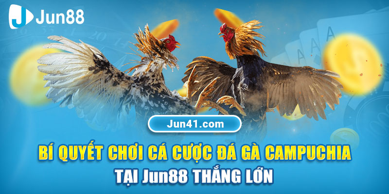 Bí quyết chơi cá cược đá gà Campuchia tại Jun88 thắng lớn