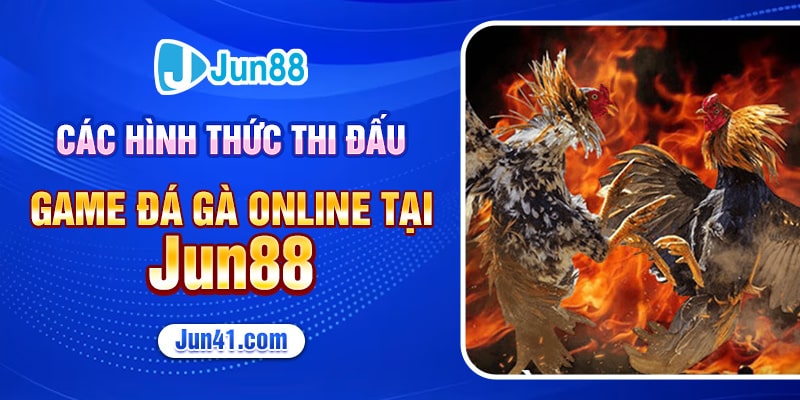Các hình thức thi đấu game đá gà online tại Jun88