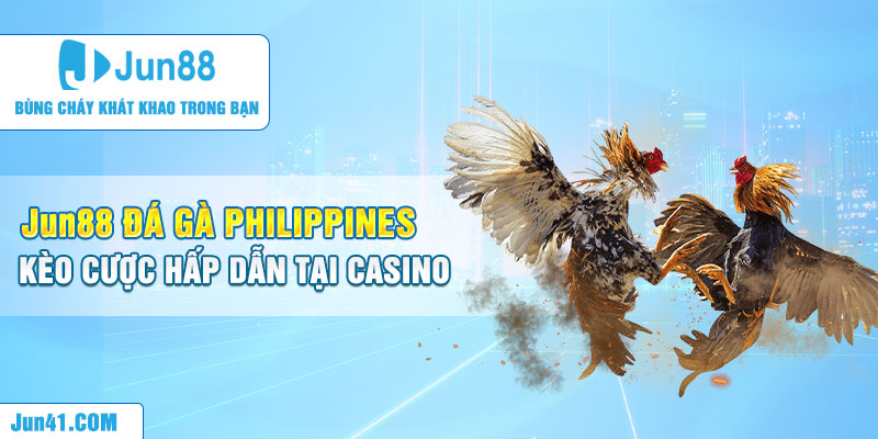 Jun88 Đá Gà Philippines - Kèo Cược Hấp Dẫn Tại Casino